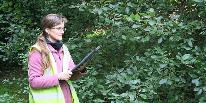 Rebecca Collins doing fieldwork